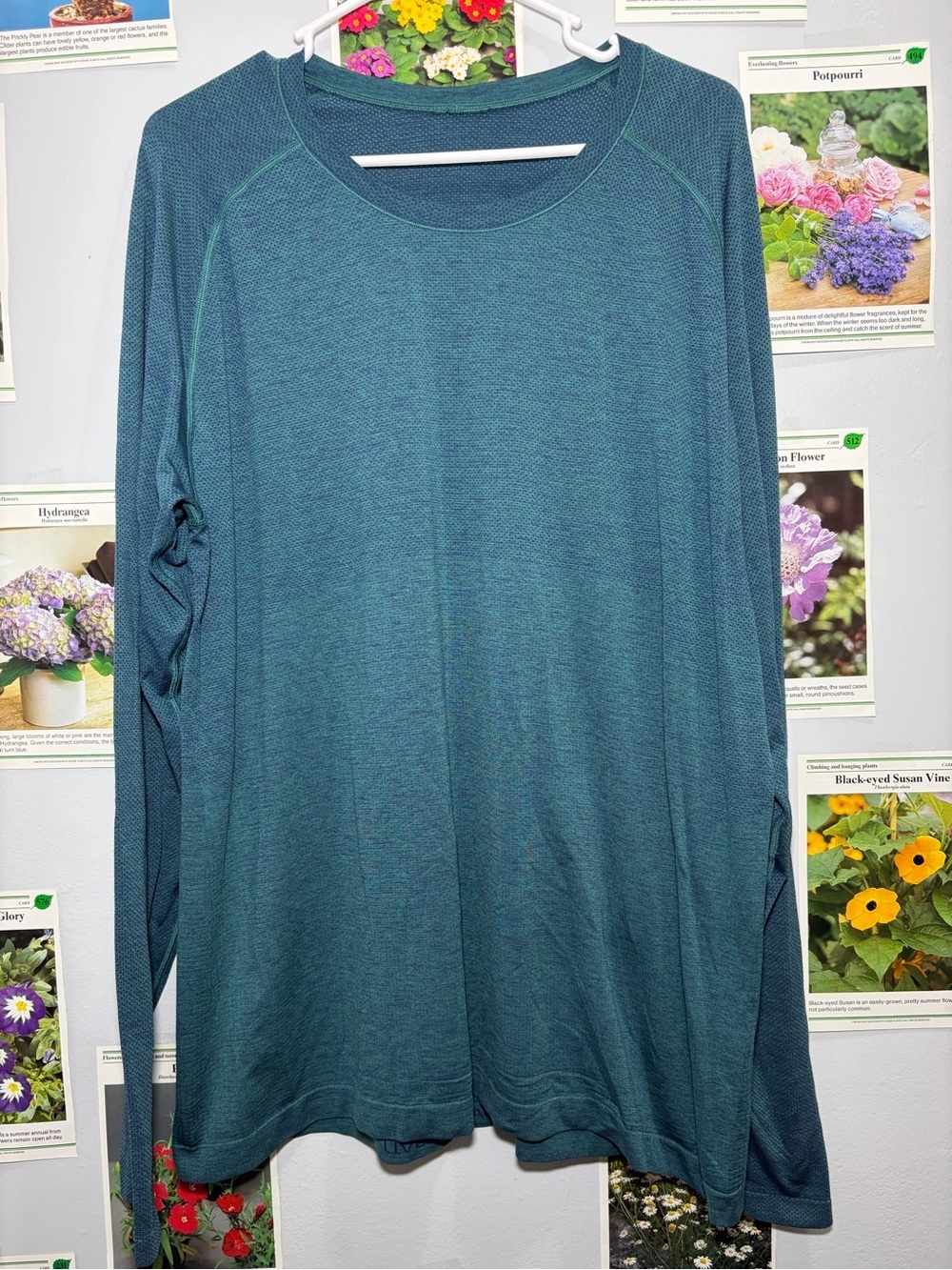 lululemon athletica Long Sleeve Performance Tee in Teal